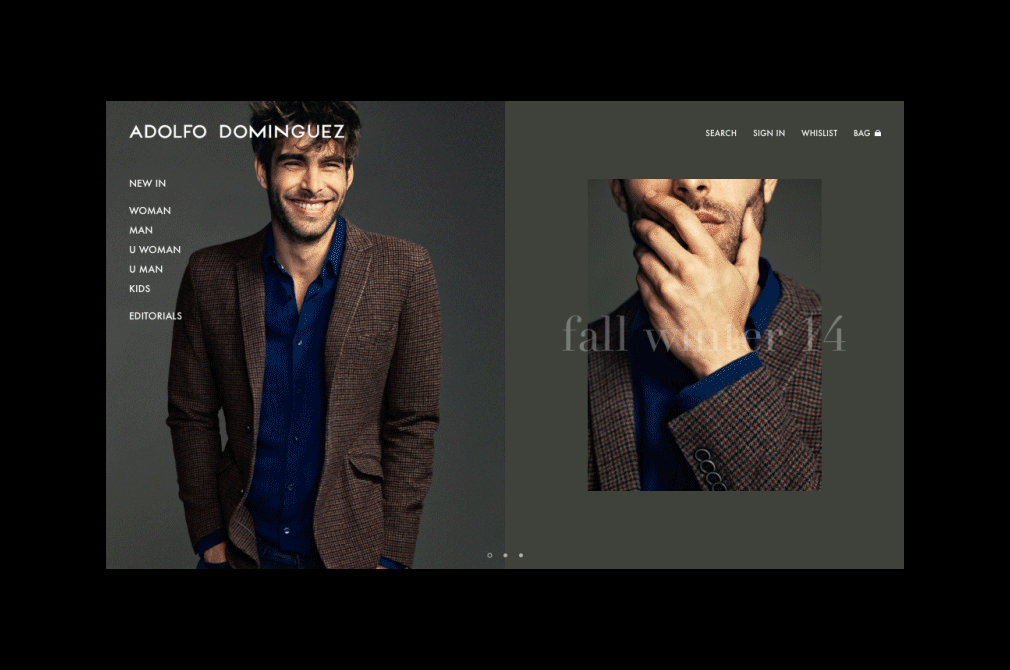 Adolfo Dominguez website