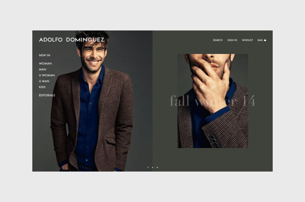Fully Responsive Website